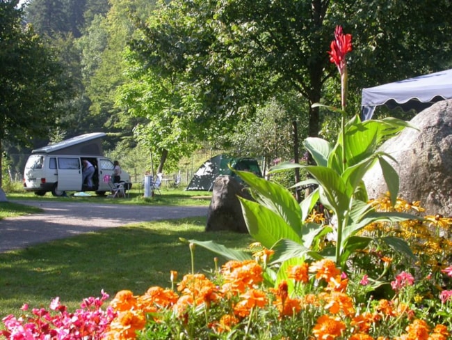 Camping Le Schlossberg - image n°4 - Camping Direct